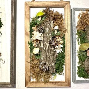 🌿 Rustic Specimen Wall Art – Handmade with Real Wasp Nests & Wire Wasp #4